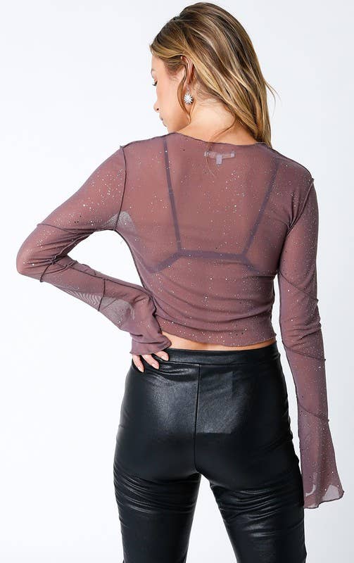 Maiya Mesh Glitter Top