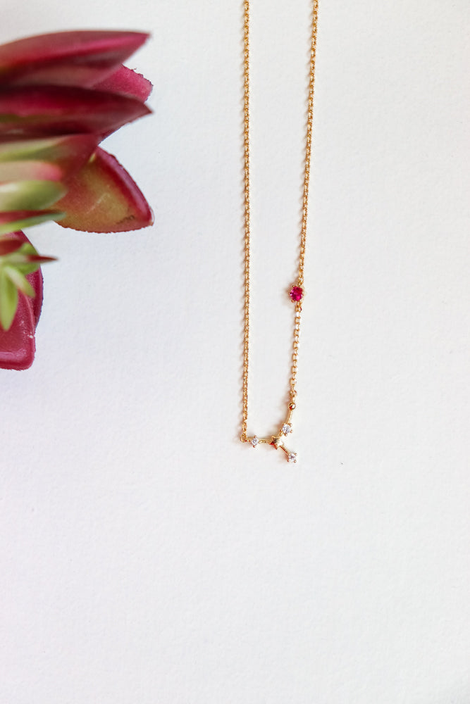 Zodiac Birthstone Necklaces (Multiple Styles)