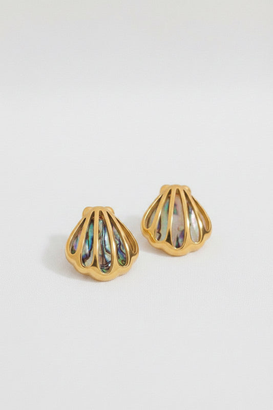Shell Abalone Earring