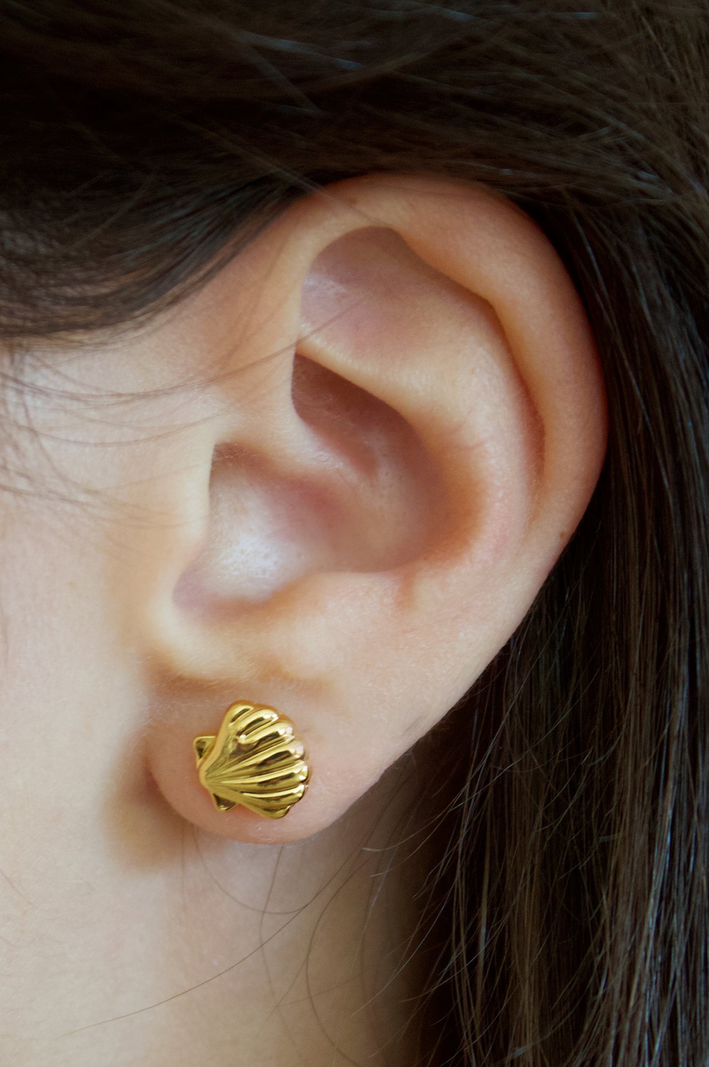 Shell Shape Studs