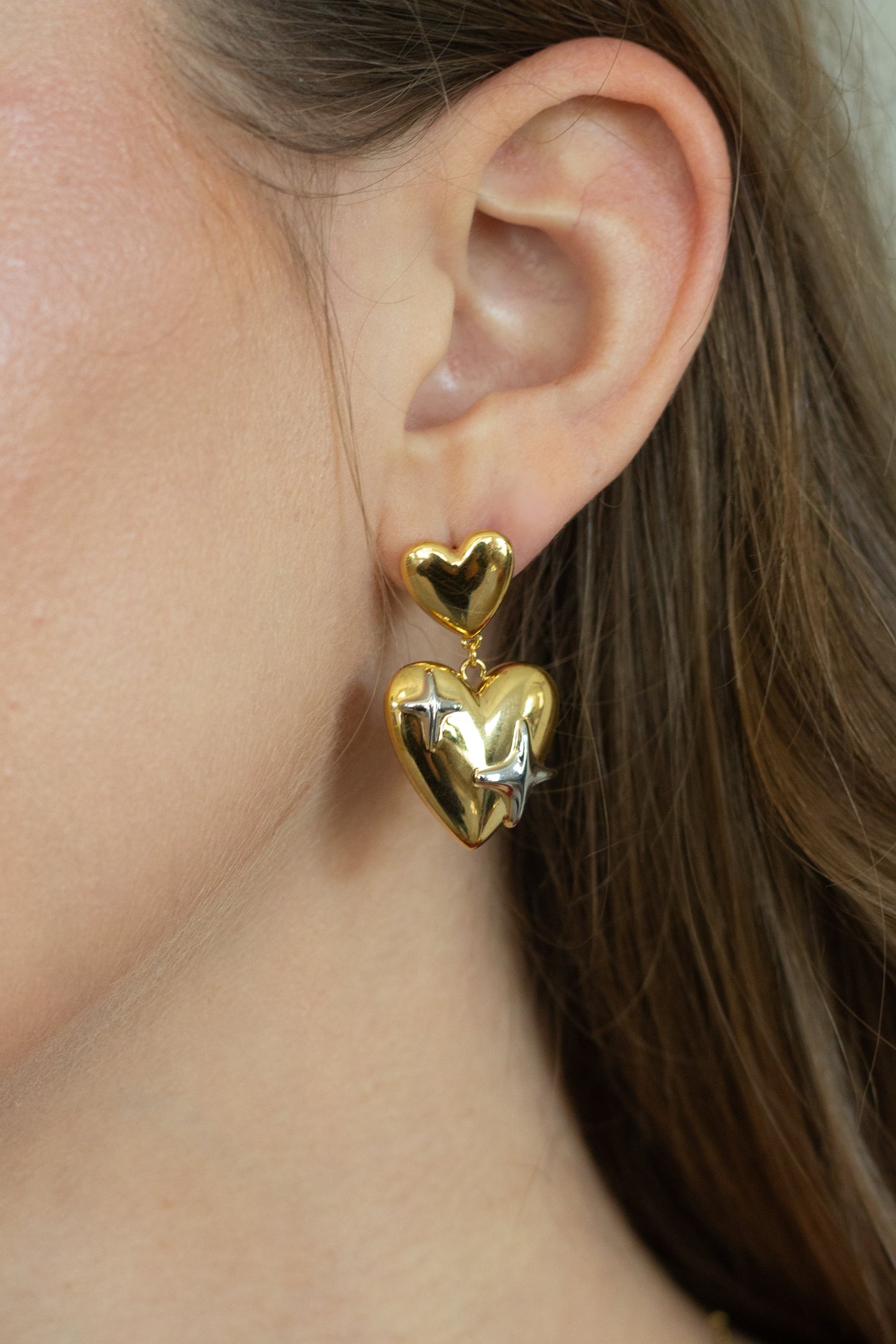 Heart & Star 2 Tone Earring