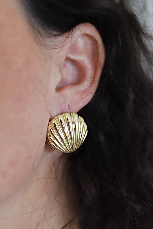 Seashell Clasp Earring