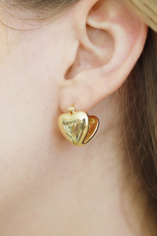 Heart Double Sided Earrings