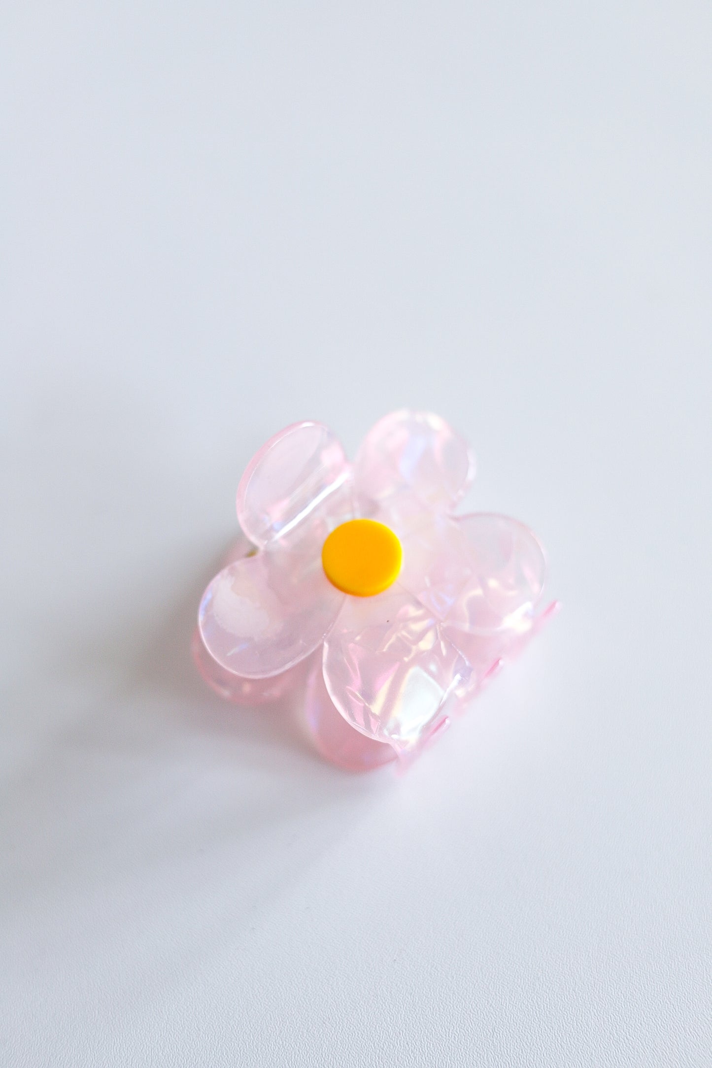 Flower Acetate Jaw Hair Clip Set