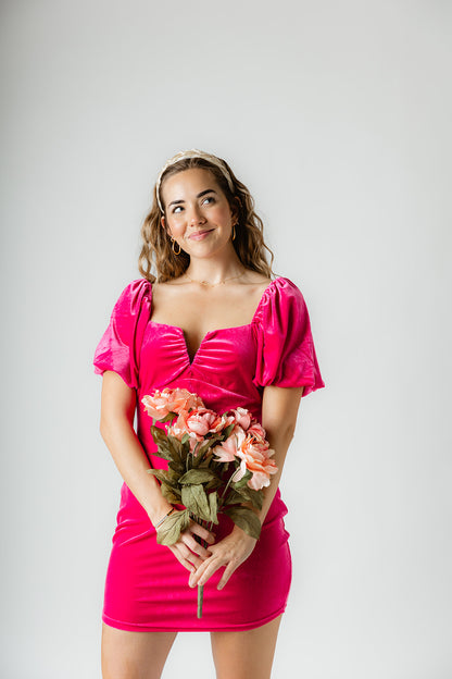 Sharpay Velvet Dress
